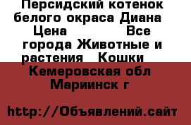 Персидский котенок белого окраса Диана › Цена ­ 40 000 - Все города Животные и растения » Кошки   . Кемеровская обл.,Мариинск г.